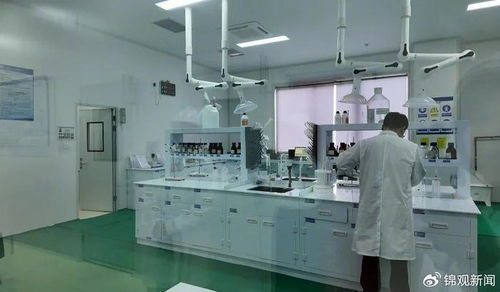 政府搭臺(tái) 一個(gè) 云工廠 解了一批中小企業(yè)的難