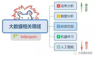 雨沐田 大數(shù)據(jù)相關(guān)的職業(yè)領(lǐng)域有哪些
