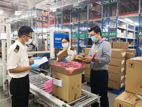 同心 共稽 追求卓越 南京海關企業管理和稽查處黨支部黨建品牌創建紀實